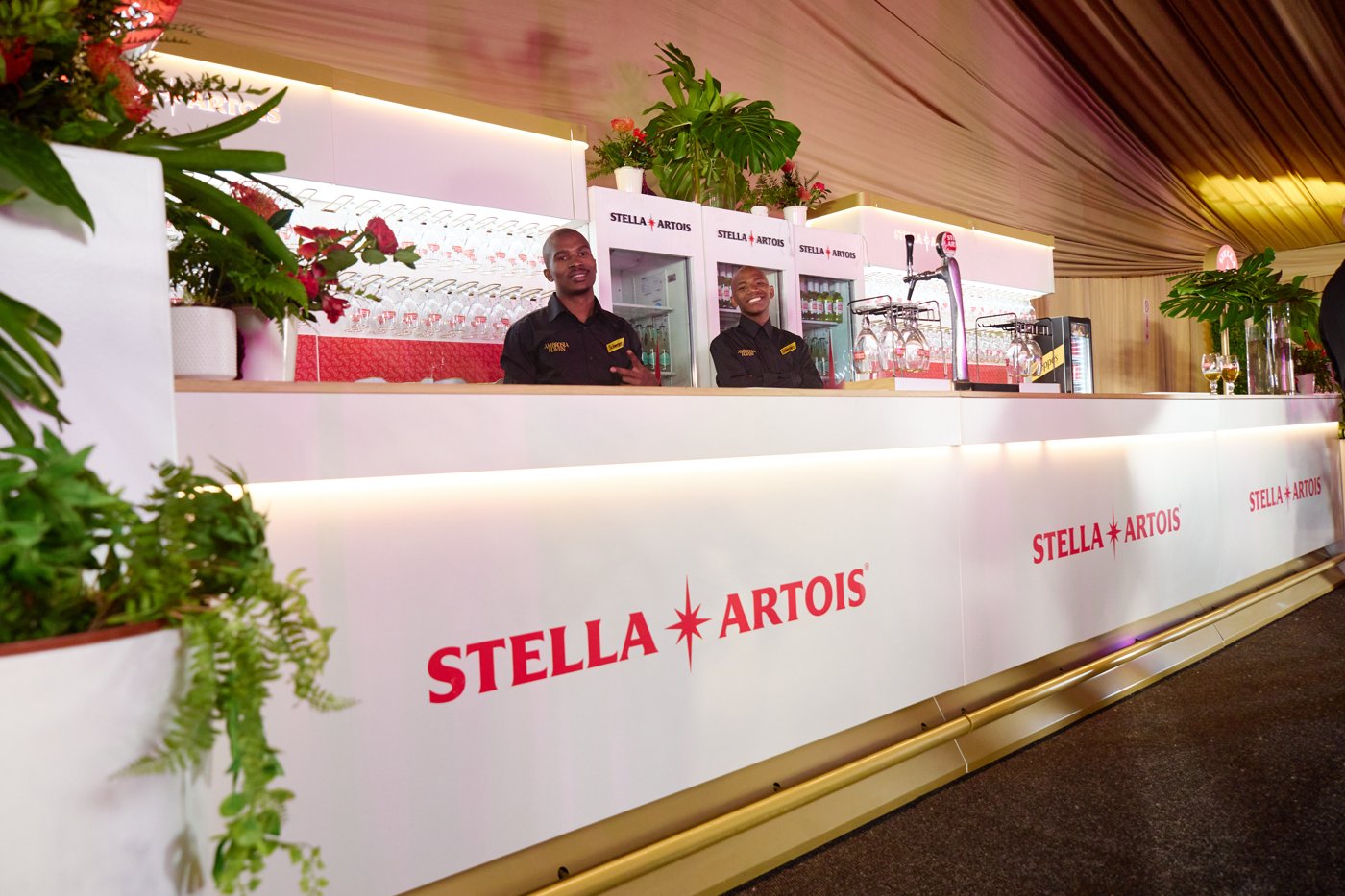 Stella Artois